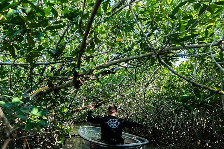 Key West Area: Guided Clear Kayak Eco-Tour