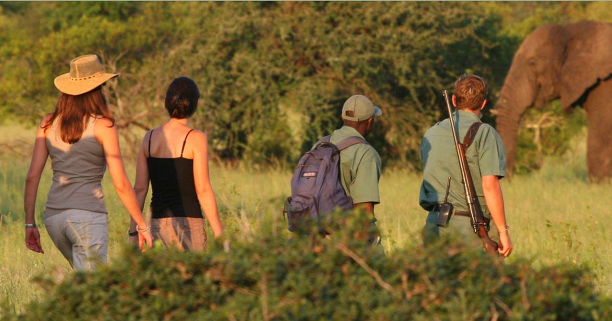 2 Day Hluhluwe Imfolozi & Isimangaliso Tour from Durban | GetYourGuide