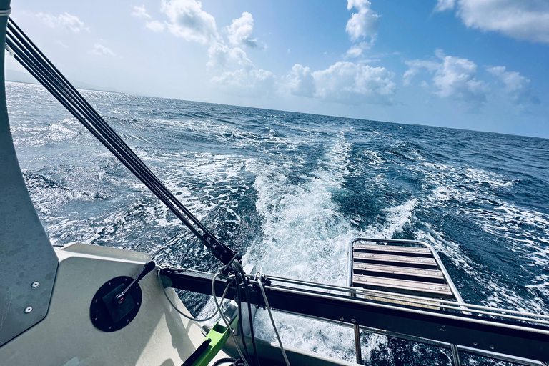 Guadalupa: Tour ecologico in barca a vela Ti-Bo in laguna