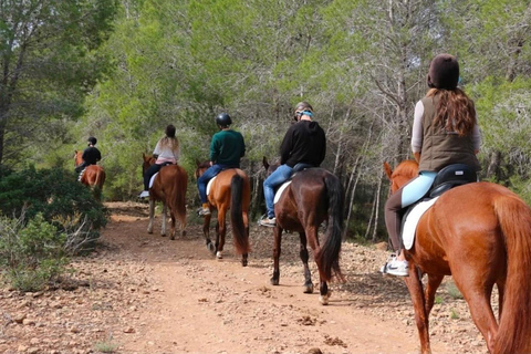 Alicante: Sierra Helada Natural Park Horseback Ride