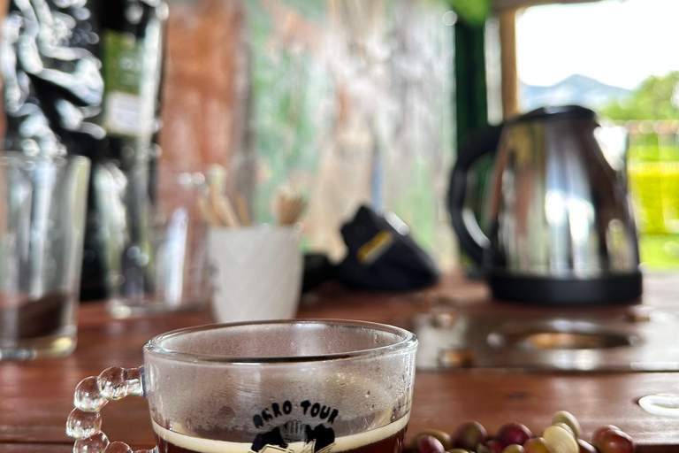 Coffee and Exotic Fruit Tour from Medellín with Lunch Coffee and Exotic Fruit Tour from Medellín with Lunch.