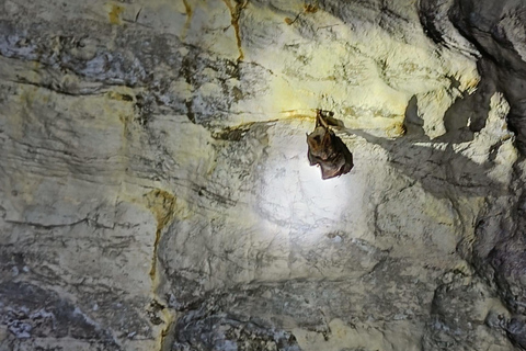 Krabi: Esplora la grotta di Tham Khlang e l&#039;avventura della Laguna Blu