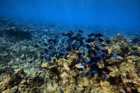 Cartagena: Barú and Rosario Islands Snorkeling Tour From Cartagena: Rosario Islands Snorkeling Tour