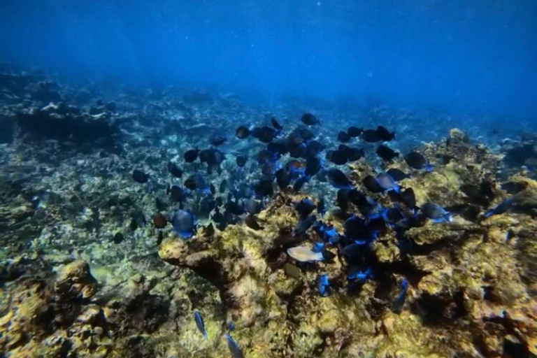 Cartagena: Barú and Rosario Islands Snorkeling Tour From Cartagena: Rosario Islands Snorkeling Tour