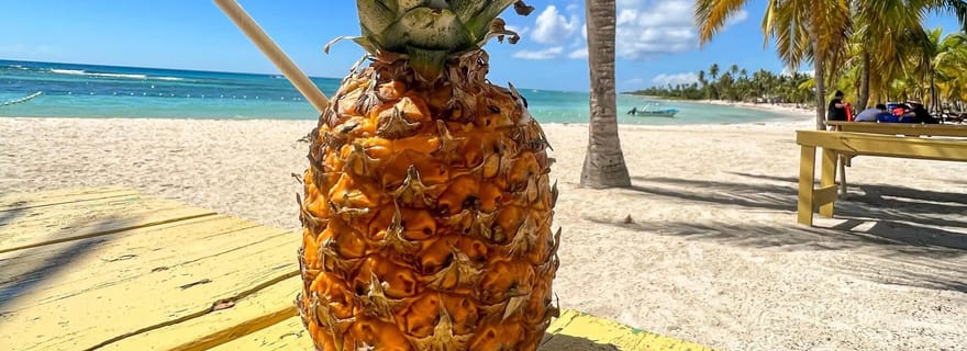 La Romana : excursion en bateau sur l'île Saona avec déjeuner
