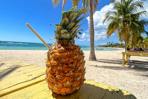 La Romana: Passeio de barco pela Ilha Saona com almoço