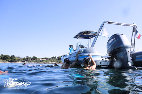 A day in the Lérins Islands: Snorkeling, Yoga & Running A Day in the Lérins Islands: Snorkeling, Yoga & Running