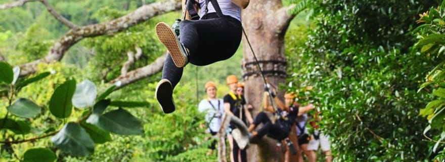 Phuket : village des éléphants, visite citadine, tyrolienne et quad