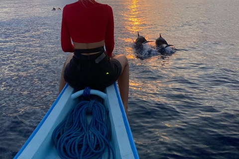 Crucero con delfines, snorkel, nado con tortugas y puesta de sol