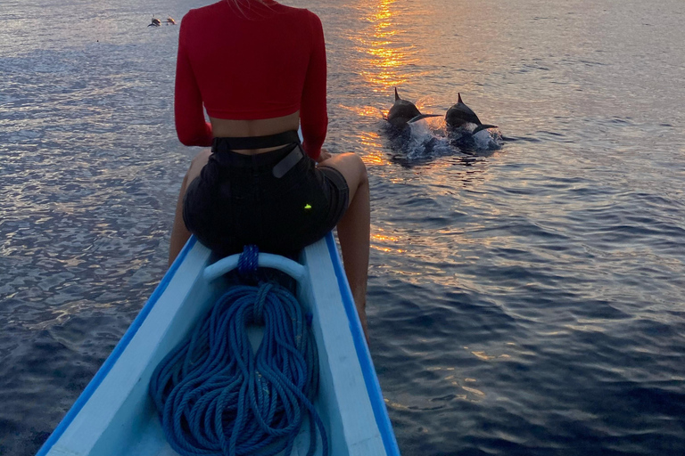 Crucero con delfines, snorkel, nado con tortugas y puesta de sol