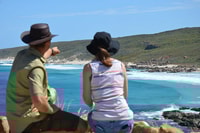 Halve dag wijn- en bezienswaardigheden Discovery Tour Busselton - Housity