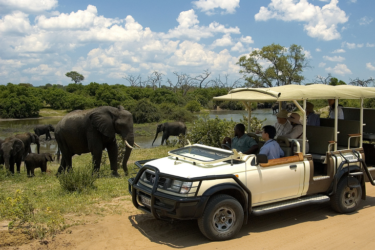 Victoria Falls: Chobe & Okavango Delta Camping Safari Tour