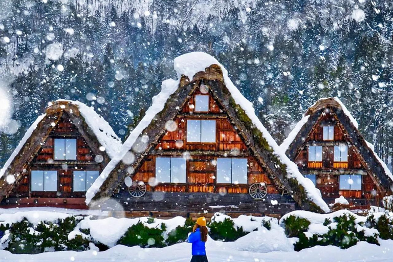 Desde Nagoya: excursión de un día a Shirakawa-go y Hida-TakayamaIncluye mirador. Salida de la estación de Nagoya a las 8:00.