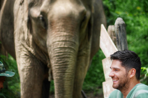 Expérience exclusive d&#039;une demi-journée avec une famille d&#039;animaux géants