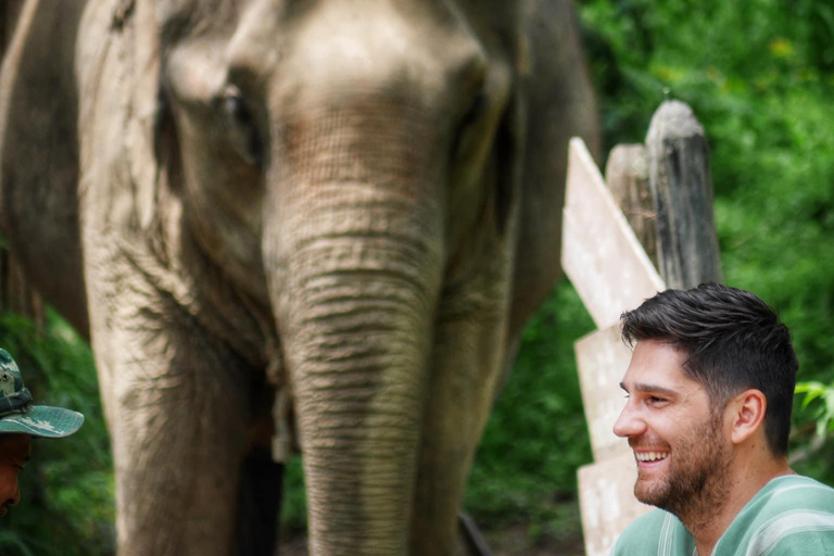 Expérience exclusive d&#039;une demi-journée avec une famille d&#039;animaux géants