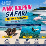 Koh Samui: Pink Dolphin Safari, Koh Tan & Pig Island