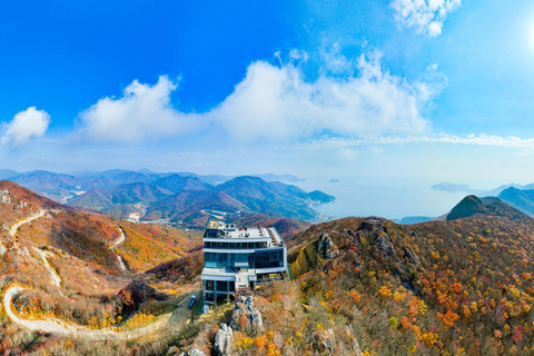 Busan : Gémeaux cachés Geoje & Oedo Botania IslandVisite partagée depuis la sortie 4 de la station de métro Seomyeon