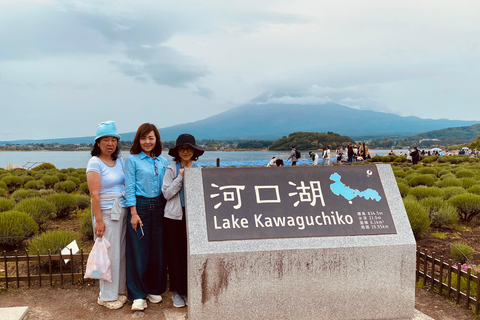 东京：富士山、Tatoo OK 温泉、清酒品尝和 Hoto 午餐