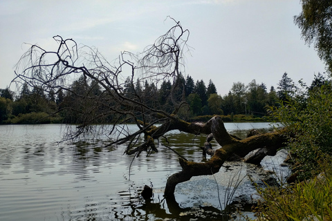 Stanley Park Autotocht: Comfort &amp; Goedkoper Dan Fietsverhuur/Tour