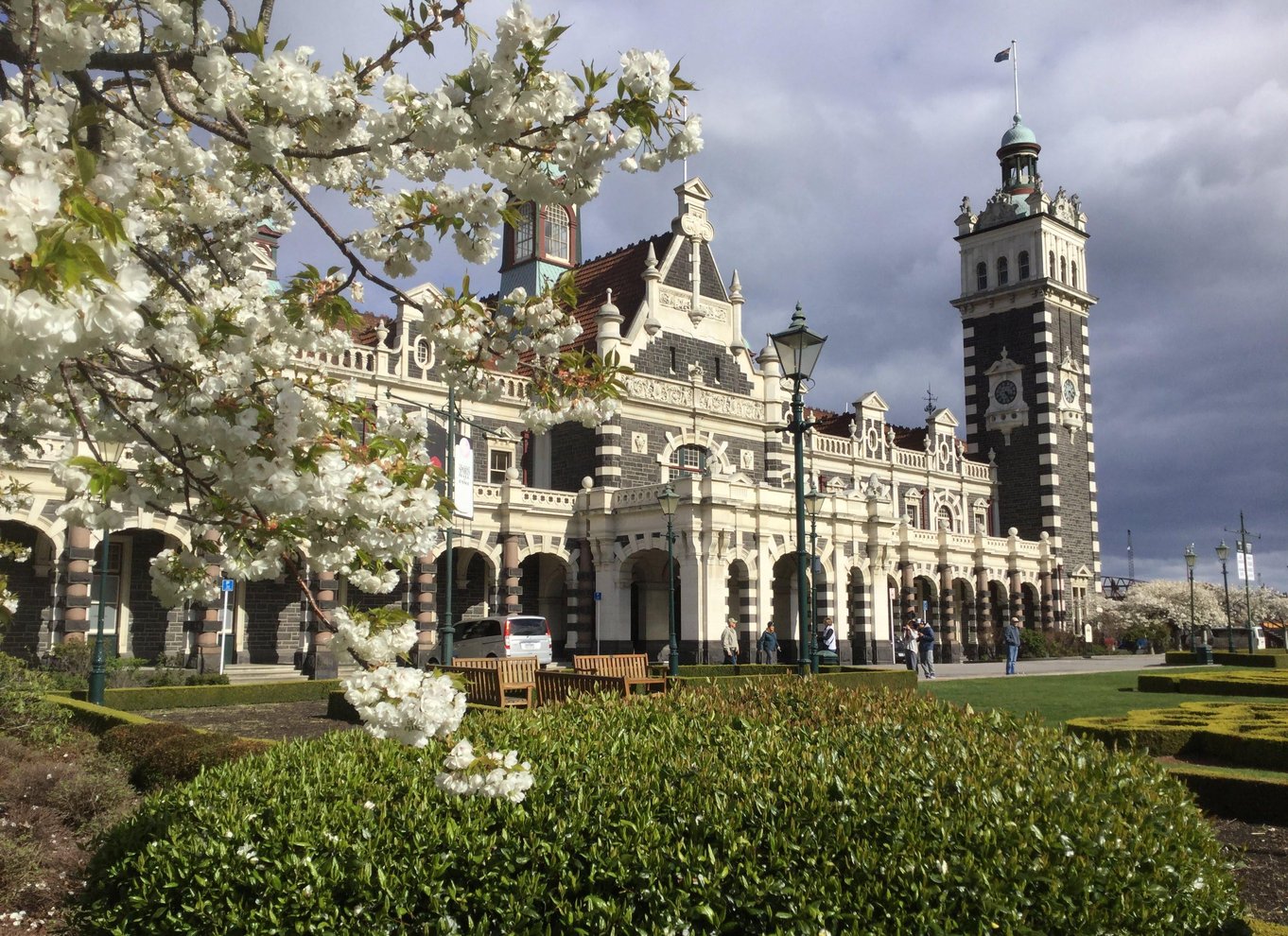 Fra Dunedin: By, Otago Peninsula & Albatross guidet tur