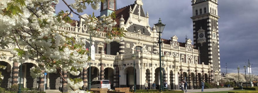 Dunedin : Visite guidée de la ville en petit groupe