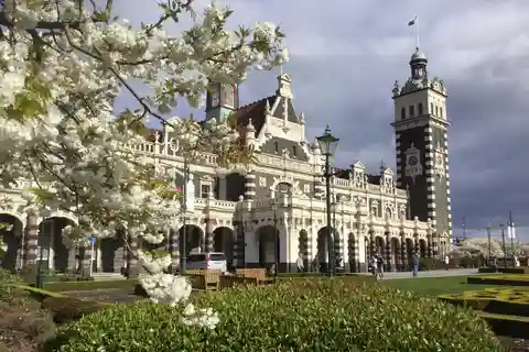 Dunedin: Excursão de grupo pequeno aos destaques da cidade