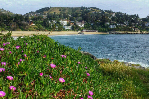 Santiago : Excursion privée à la plage de Zapallar