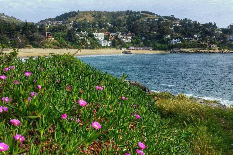 Santiago: Escursione privata di un giorno alla spiaggia di Zapallar
