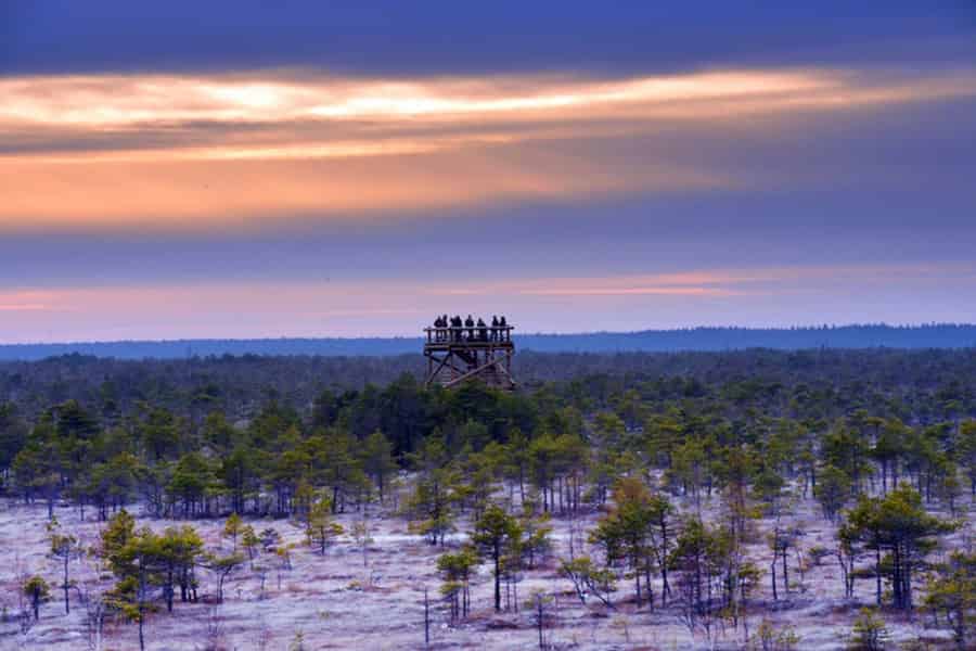 Von Riga: Jurmala & Kemeri Tour + Ostsee. Foto: GetYourGuide