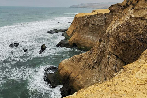 Paracas: visita guiada à Reserva Nacional com transfers