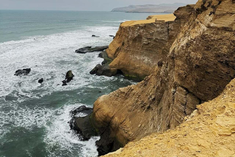 Paracas: visita guiada à Reserva Nacional com transfers