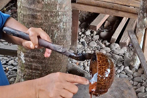 Bukit Lawang: Jungle Trek, River Tubing, and Village Tour