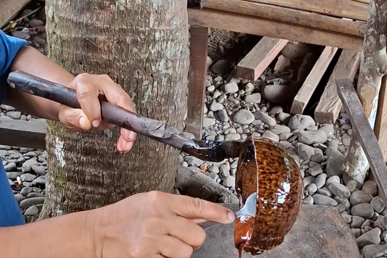 Bukit Lawang: Jungle Trek, River Tubing, and Village Tour