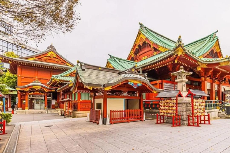 Tokyo Full Day Customizable Private Tour with English Guide