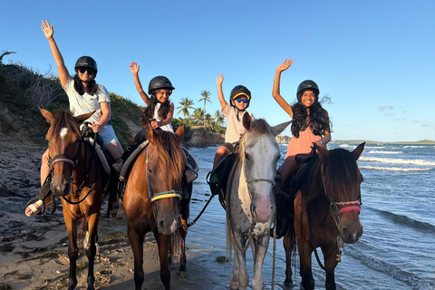Vieques: Horseback Riding with Isla Nena Trail Rides