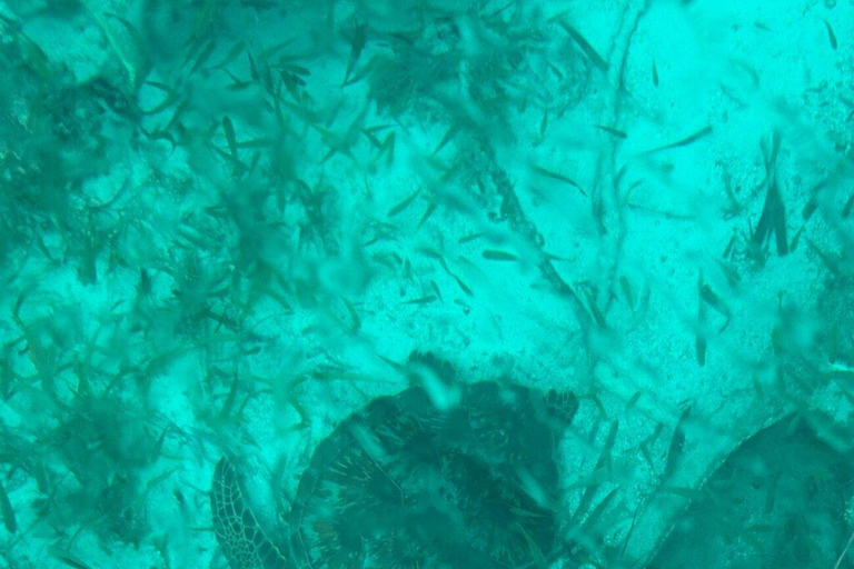 Cancun: Transparent Boat Tour with Soft Drinks