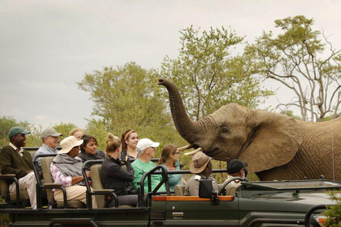 Safari Pirschfahrt mit Masuku Adventures