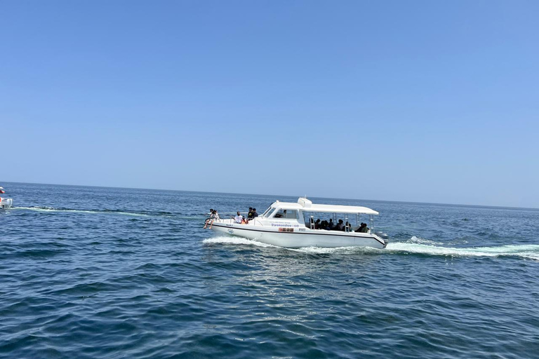 Muscat: Dolphin Watching and Historic Coastline Boat Tour Tour with Pickup and drop