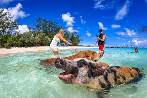 Nassau: Swimming Pigs &amp; Snorkeling Boat Tour with Drinks