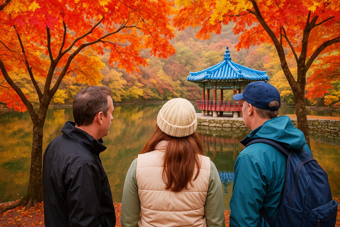 Seoul: Naejangsan National Park Autumn Foliage One Day Tour Shared Tour, Meet at Dongdaemun