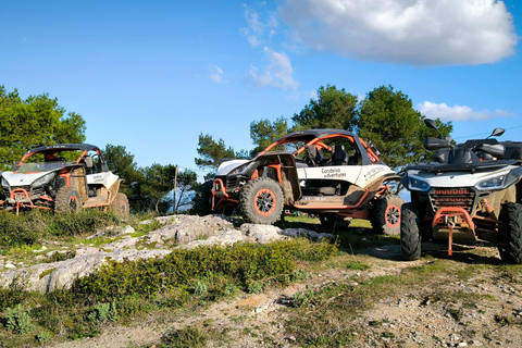 Coimbra: Buggy off-road adventure