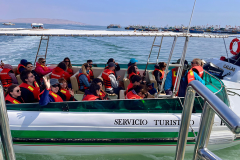 From Ica: Ballestas Islands and Paracas National Reserve. Private from Ica: Ballestas Islands and Paracas National Reserve.