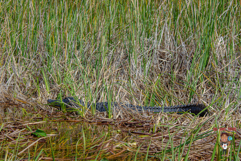 3-Day Florida Getaway: Miami, Everglades &amp; Key West Snorkel