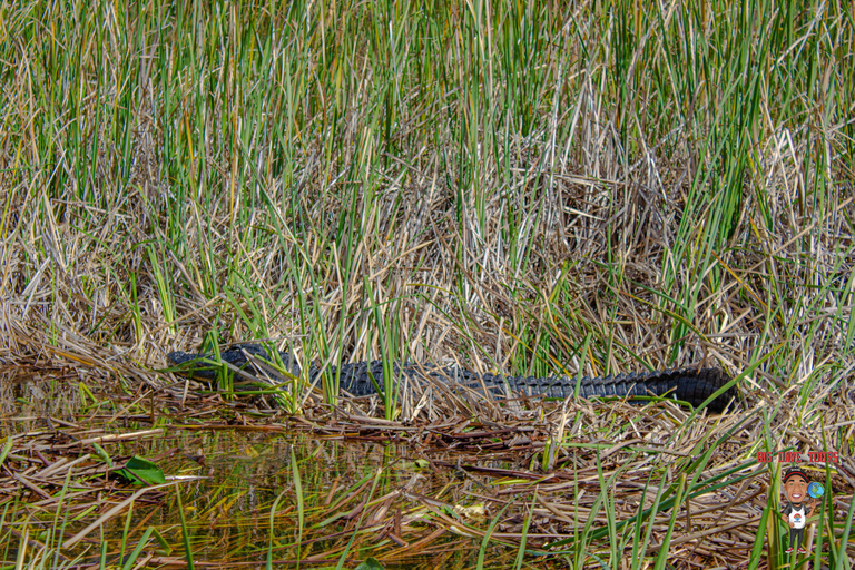 3-Day Florida Getaway: Miami, Everglades &amp; Key West Snorkel