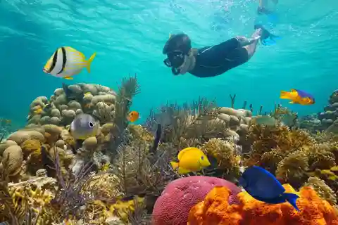 Sharm El Sheikh: Luxury boat Cruise with Snorkeling & Lunch