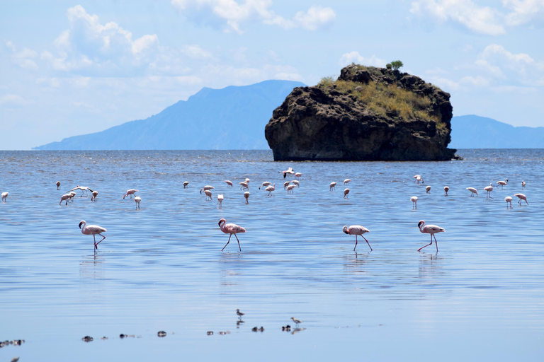 Arusha: Lake Natron Day Trip (Lake Walk &amp; Waterfall Hike)