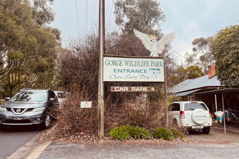 Vanuit Adelaide: Knuffel een Koala en historische Hahndorf Tour