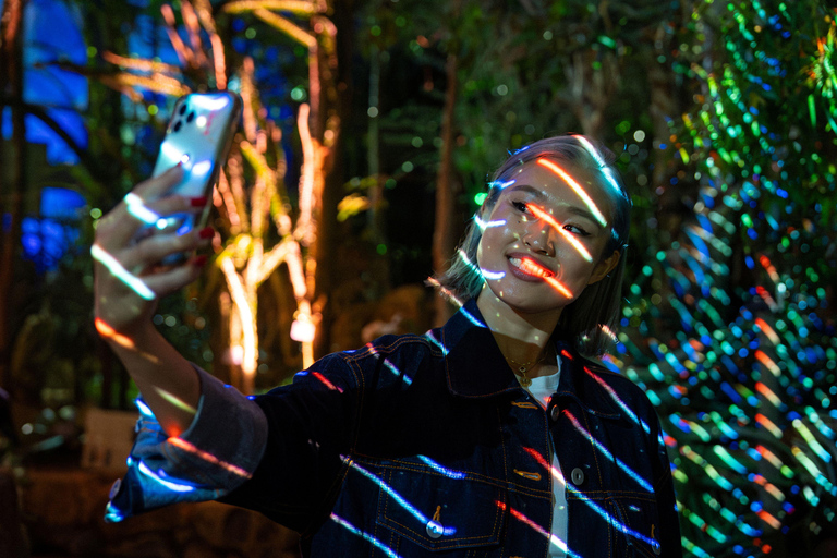 Kioto: Light Cycles autorstwa Moment Factory z wypożyczeniem yukatyKioto: Light Cycles autorstwa Moment Factory z wypożyczalnią yukaty