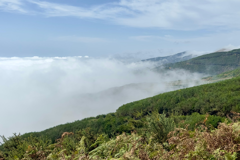 Unveil West Madeira: 4x4 Cliffs, Pools & Views Madeira Island full day 4x4 jeep tours