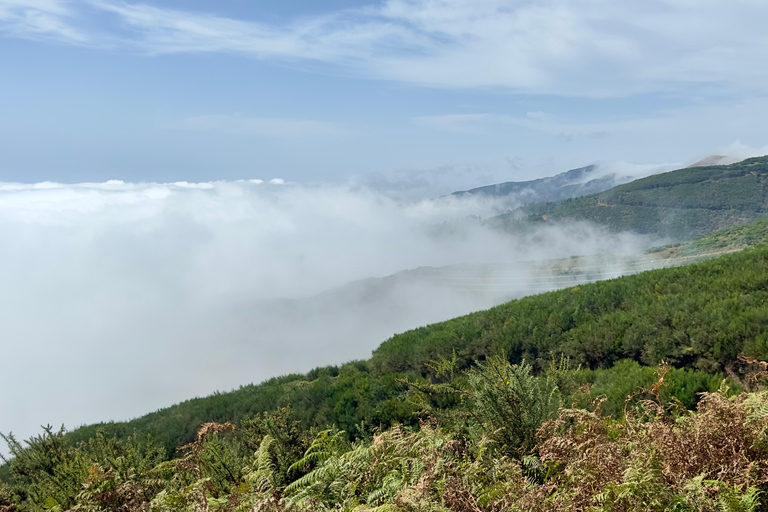 Från Funchal: Väst Madeira Jeep 4x4 dagstur med upphämtning